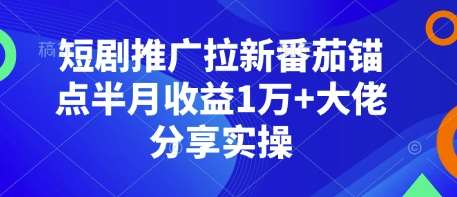 短剧推广拉新番茄锚点半月收益1万+大佬分享实操-时光论坛