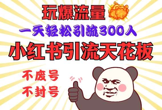 小红书引流天花板，玩爆流量，一天轻松引流300人，安全操作-时光论坛