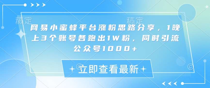 网易小蜜蜂平台涨粉思路分享，1晚上3个账号各跑出1W粉，同时引流公众号1000+-时光论坛