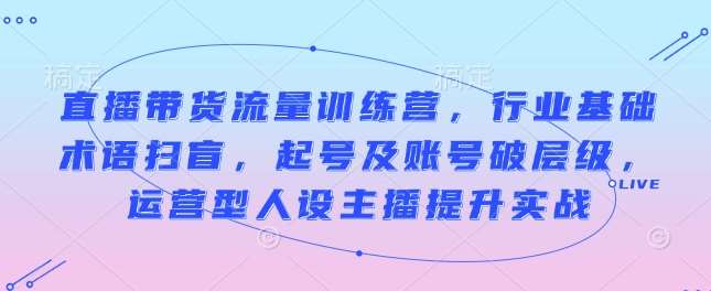 直播带货流量训练营，行业基础术语扫盲，起号及账号破层级，运营型人设主播提升实战-时光论坛