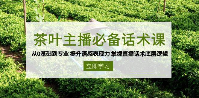 （13961期）茶叶 主播必备话术课 从0基础到专业 提升语感表现力 掌握直播话术底层逻辑-时光论坛