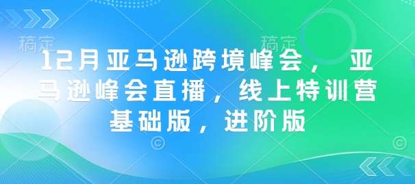 12月亚马逊跨境峰会， 亚马逊峰会直播，线上特训营基础版，进阶版-时光论坛