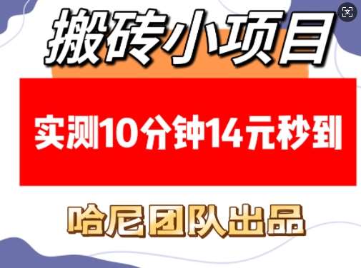 搬砖小项目，实测10分钟14元秒到，每天稳定几张(赠送必看稳定)-时光论坛