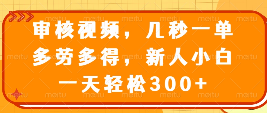 审核视频项目，几秒一单，多劳多得，新人小白一天轻松300+-时光论坛