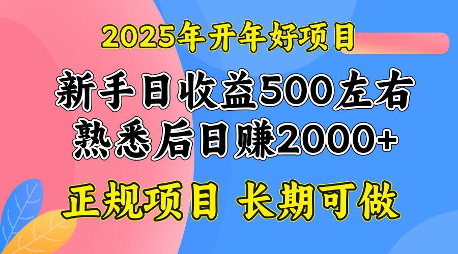 （14076期）2025开年好项目，单号日收益2000左右-时光论坛