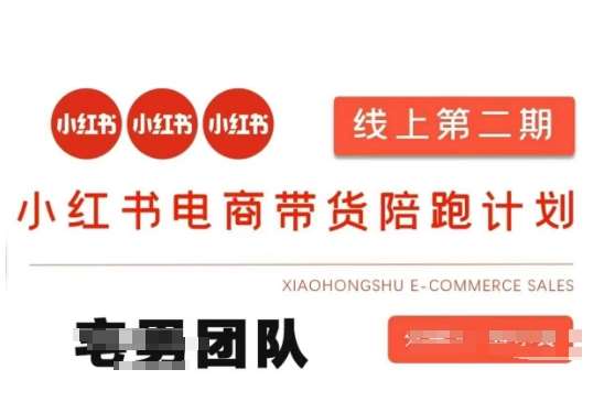 小红书电商带货课2期，月利润20个的小红书电商的有货源，无货源，虚拟产品，付费投流等整套玩法-时光论坛