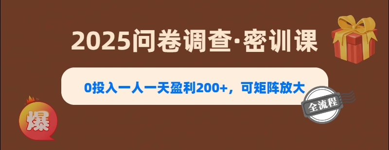 2025《问卷调查》0投入一人一天盈利200+，可矩阵放大-时光论坛