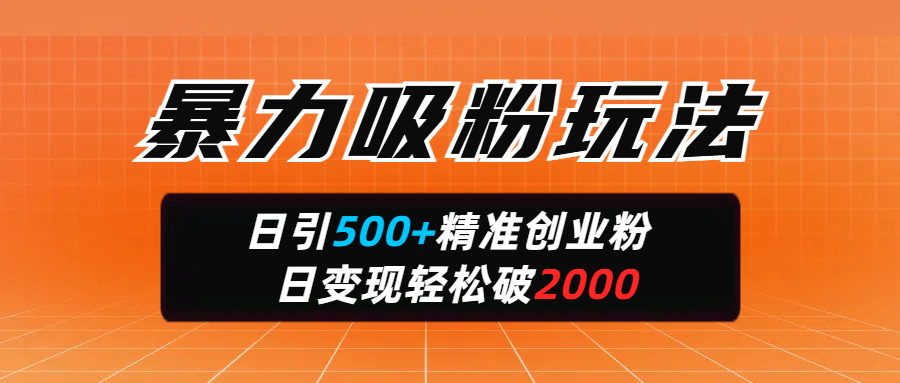 暴力吸粉玩法，日引500+精准创业粉，日变现轻松破2000-时光论坛