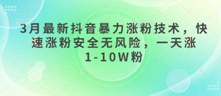 3月最新抖音暴力涨粉技术，快速涨粉安全无风险，一天涨1-10W粉-时光论坛