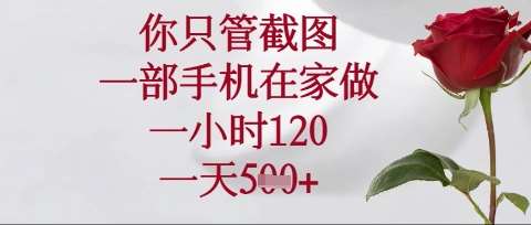 你只管截图，一部手机在家操作，一小时120.一天5张【揭秘】-时光论坛