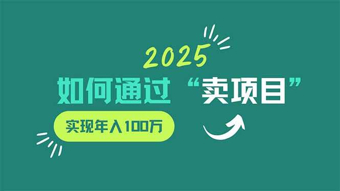 （14176期）2025年如何通过“卖项目”实现年入100万-时光论坛