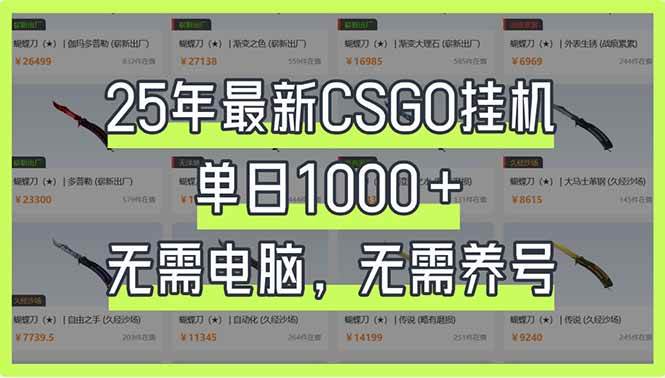 （14178期）25年最新CSGO挂机系统，单日1000+，无需电脑，无需养号，0基础可上手-时光论坛