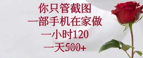 你只管截图，一部手机在家做，一小时120.一天5张【揭秘】-时光论坛