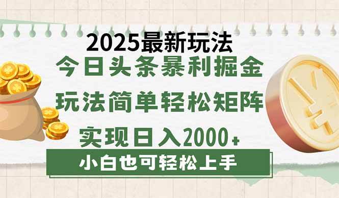 （14120期）今日头条2025最新玩法，思路简单，复制粘贴，轻松实现矩阵日入2000+-时光论坛