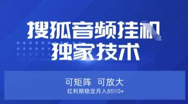 【搜狐音频挂G】独家技术，可矩阵可放大，红利期稳定月入8k【揭秘】-时光论坛