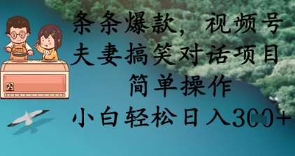 条条爆款，视频号夫妻搞笑对话项目，简单操作，小白轻松日入3张+-时光论坛