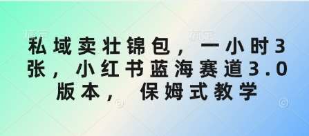 私域卖壮锦包，一小时3张，小红书蓝海赛道3.0版本， 保姆式教学-时光论坛