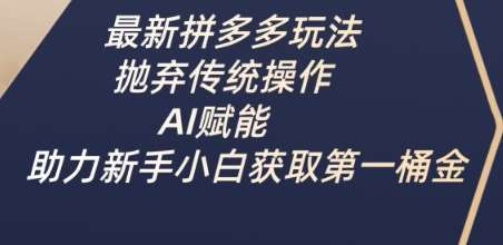 最新拼多多玩法，抛弃传统操作，AI赋能，助力新手小白获取第一桶金-时光论坛