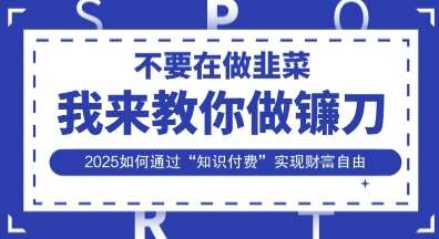 韭菜生涯终结者，我来教你做镰刀，2025如何通过“知识付费”实现财F自由【揭秘】-时光论坛