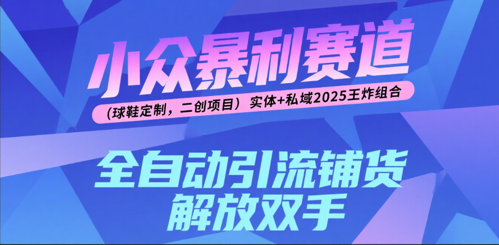 楠—小众暴利赛道（球鞋定制，二创项目）实体+私域2025王炸组合-时光论坛