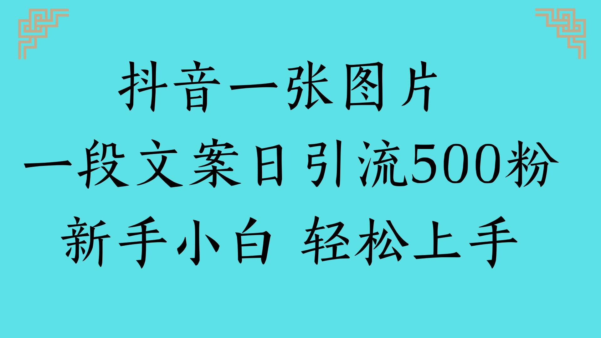 抖音一张图片 一段文案日引流500粉新手小白 轻松上手-时光论坛