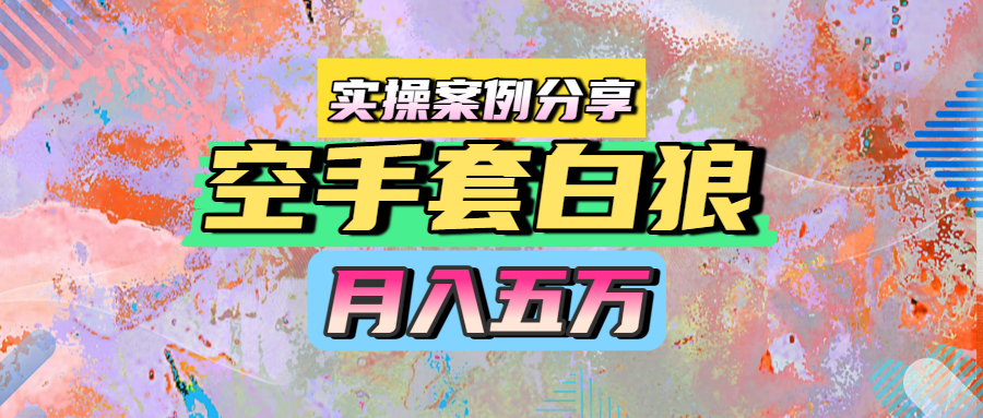 空手套白狼，月入五万，实操案例分享-时光论坛