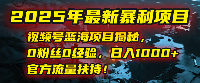 2025年最新暴利项目：视频号蓝海项目揭秘，0粉丝0经验，日入1000+，官方流量扶持！-时光论坛