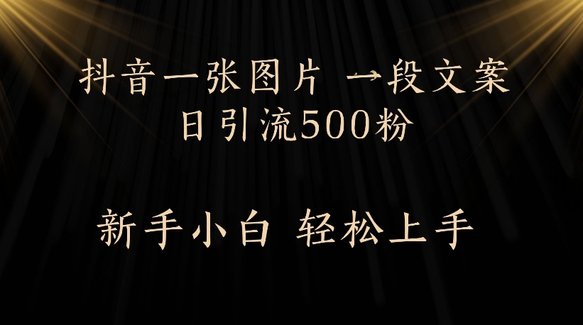抖音一张图片，一段文案日引流500粉，新手小白 轻松上手-时光论坛