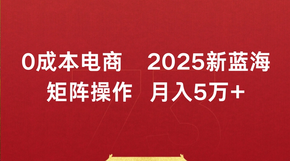 0成本电商2025新蓝海矩阵操作 月入5万+-时光论坛