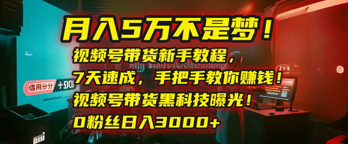 月入5万不是梦！视频号带货新手教程，7天速成，手把手教你赚钱！视频号带货黑科技曝光！0粉丝日入3000+-时光论坛