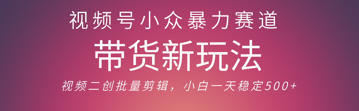视频号小众暴力赛道，最新带货玩法 小白也能轻松日入500+ 保姆及教程-时光论坛