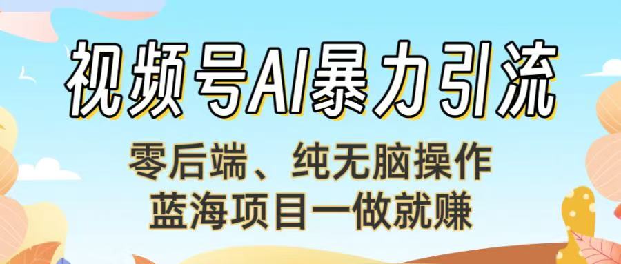 视频号AI暴力引流：零后端、纯无脑操作，蓝海项目一做就赚！【下面那个链接失效了】-时光论坛