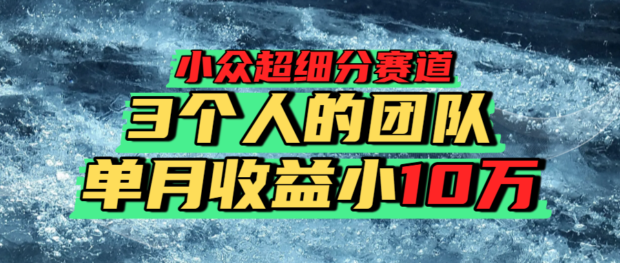 小众超细分赛道，一年百万利润的盘子！-时光论坛