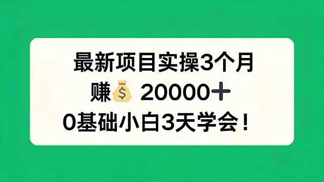最新项目实操3个月，赚钱20000+，0基础小白3天学会！-时光论坛