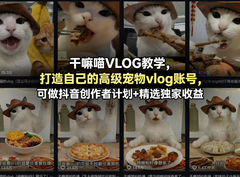 干嘛喵VLOG教学，打造自己的高级宠物vlog账号，可做抖音创作者计划+精选独家收益-时光论坛
