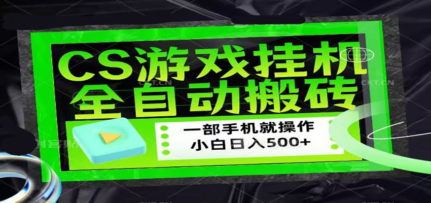 CSGO游戏挂机捡漏搬砖，超稳定的项目，带领1000+小白实现日入500+-时光论坛