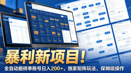 暴利新项目！全自动搬砖单账号日入200+，独家矩阵玩法，保姆级操作【揭秘】-时光论坛