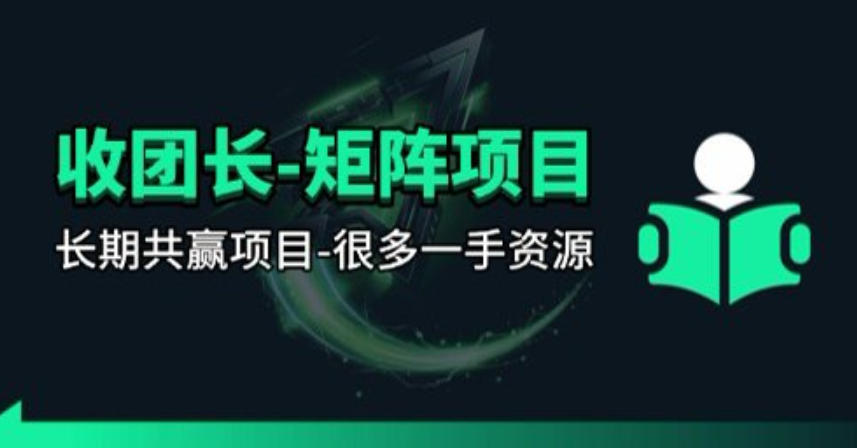 【团长合作】视频矩阵项目_招发手矩阵+剪辑师，共赢项目【揭秘】-时光论坛