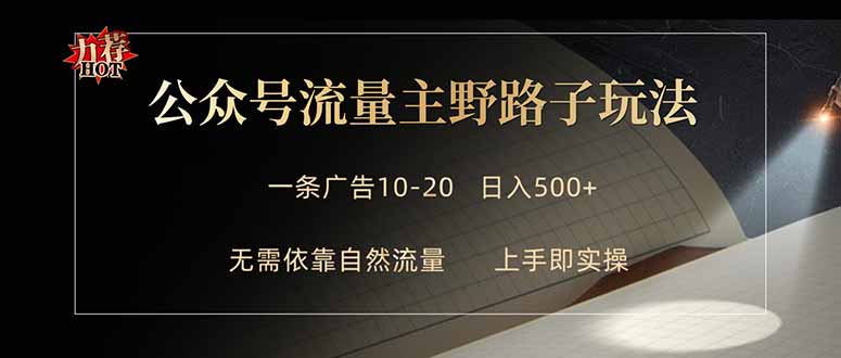 公众号流量主野路子玩法 单条广告10-20元 日入500+-时光论坛